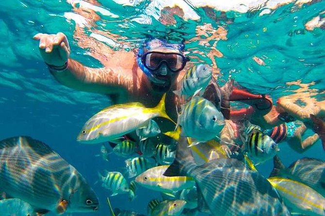 Full-Day Luxurious Catamaran Adventure - Cancún to Isla Mujeres - Snorkeling the reef: equipment included, time limited, crowds possible