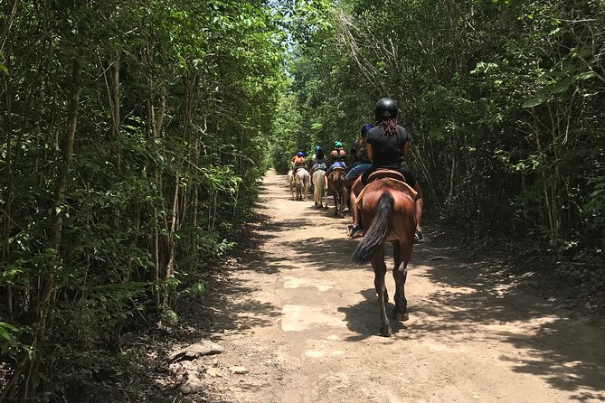 Horseback Riding plus ATV, Cenote, Ziplines, and Lunch - Lunch, purified water, and the real meaning of included food