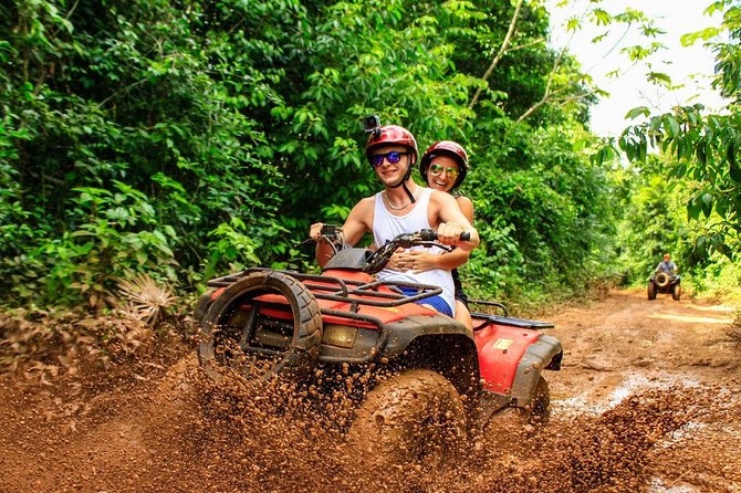 Horseback Riding plus ATV, Cenote, Ziplines, and Lunch - Ziplines in the jungle: four runs and real safety checks