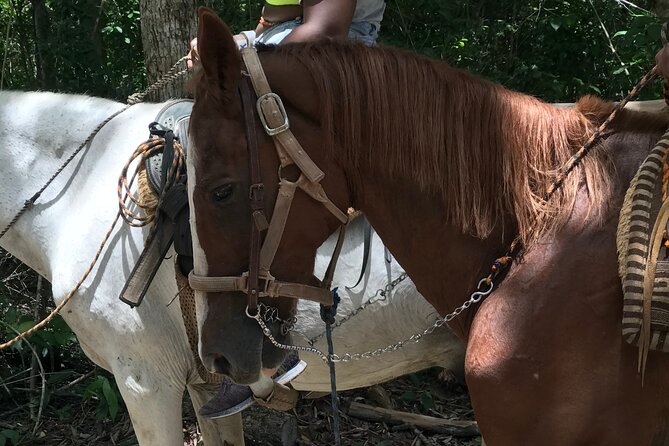 Horseback riding with ATV, zip lines and cenote, lunch and transfer - ATV circuit: mud, stones, climbs, and included insurance