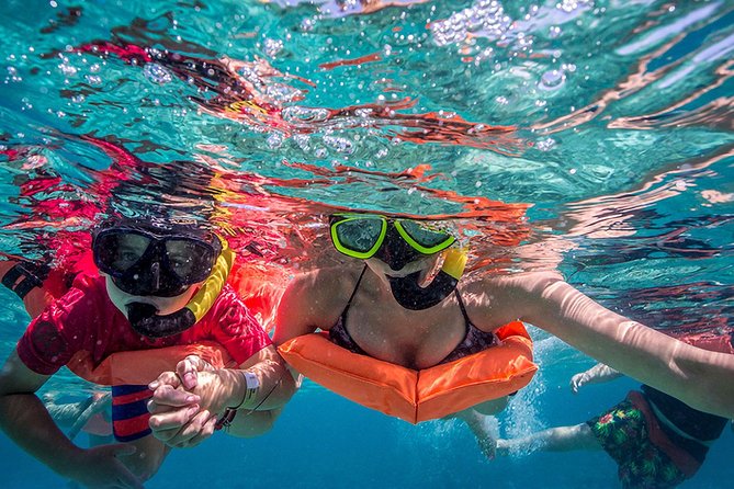 Isla Contoy and Isla Mujeres Tour with Snorkeling from Cancun - Price and Logistics: What you’re really paying for