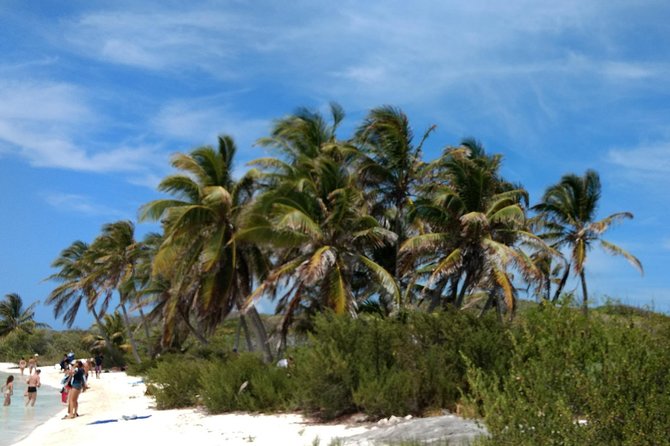 Isla Contoy and Isla Mujeres Tour with Snorkeling from Cancun - Lunch on Contoy: Mayan-style Tik n Xic BBQ and drinks