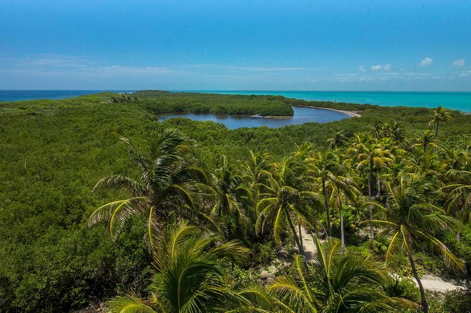 Isla Contoy and Isla Mujeres Tour with Snorkeling from Cancun - Weather, waves, and snorkel conditions: why your day may vary