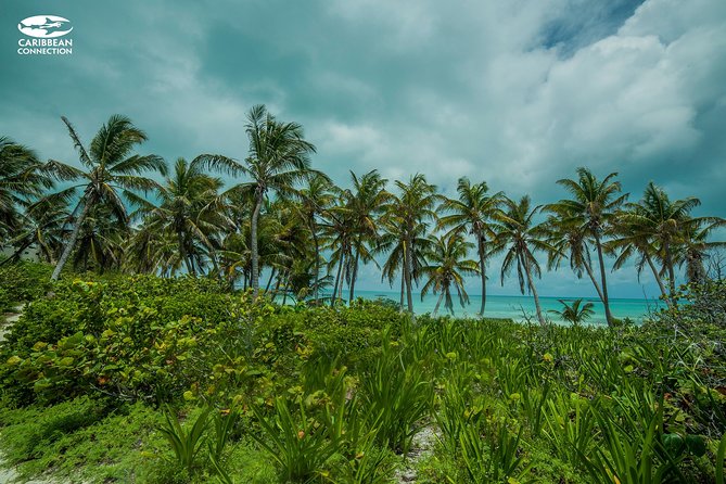 Isla Contoy Eco Adventure - Should you book Isla Contoy Eco Adventure?