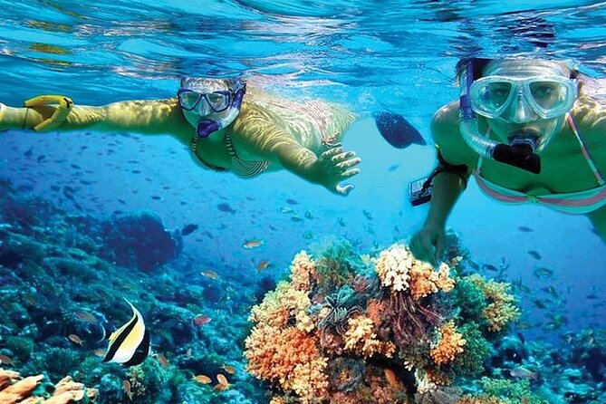 Isla Mujeres Catamaran, Open Bar & Optional Buffet and pick up - Isla Mujeres Beach Club Stop: Lunch, Drinks, and the Clock