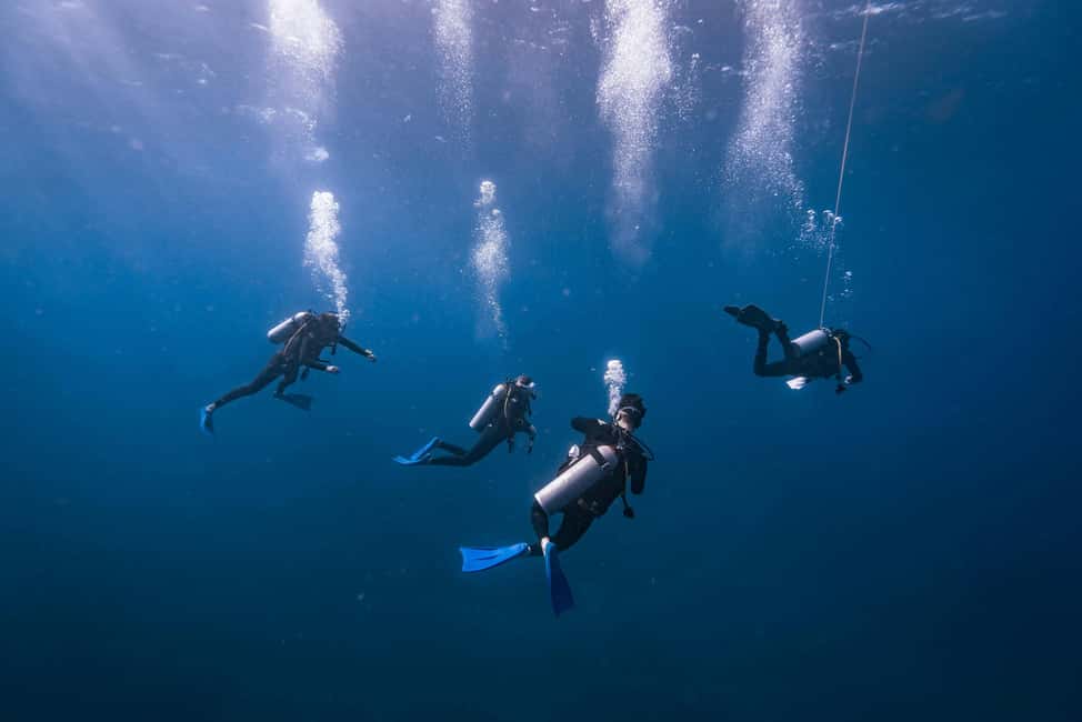 Isla Mujeres: Catamaran Ride with Open Bar, Snorkeling, and Lunch - Snorkeling at the Caribbean reef: short stop, clear water, beginner-friendly