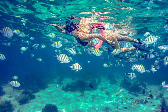 Isla Mujeres Catamaran Tour with Open Bar, Lunch and Snorkeling - The snorkel segment: gear, guides, and the pacing reality