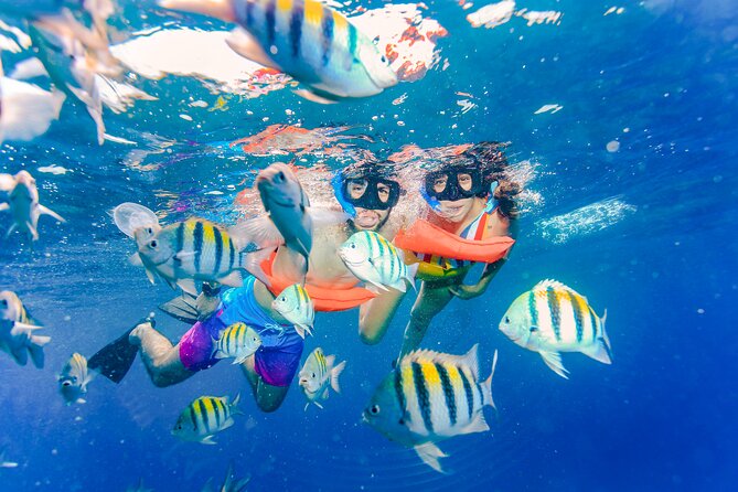 Isla Mujeres Catamaran Tour with Open Bar, Lunch and Snorkeling - Isla Mujeres town time and Playa Norte style wandering