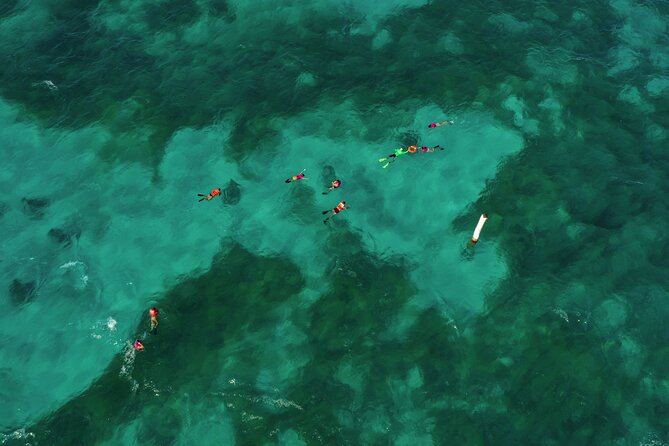 Isla Mujeres Island and Snorkeling Tour - Playa Norte: your second chance in crystal water