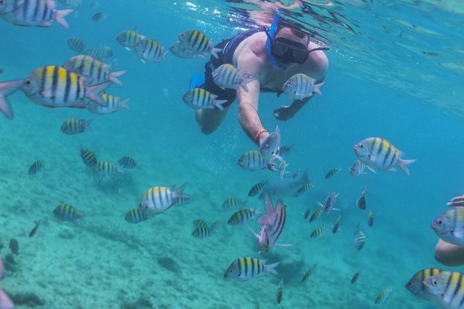 Isla Mujeres Luxury Sailing: Adults Only or Family Friendly - Should You Book This Isla Mujeres Luxury Sailing Trip?