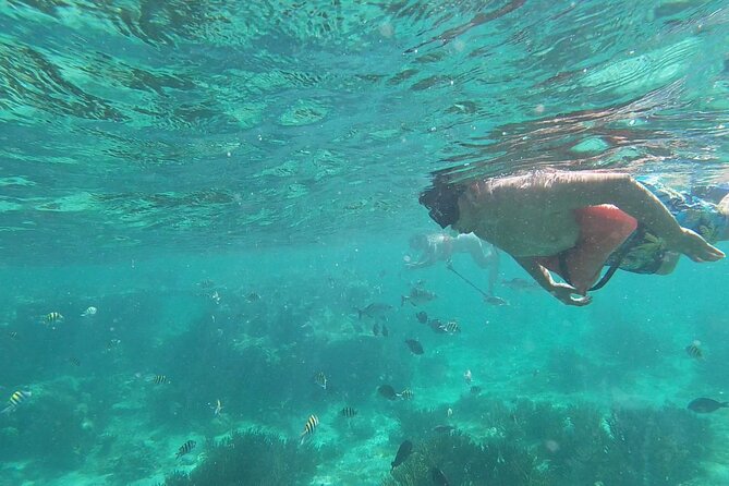 Isla Mujeres: Snorkeling Adventure at the Underwater Museum - Three reef stops in a tight 3.5-hour window