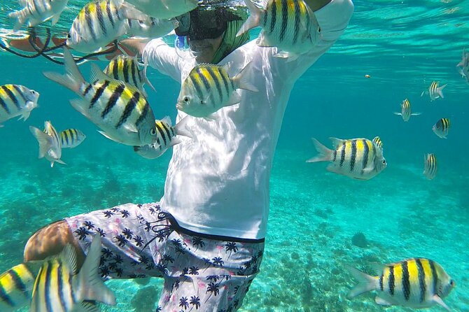 Isla Mujeres: Snorkeling Adventure at the Underwater Museum - Playa Norte lunch break over the Caribbean