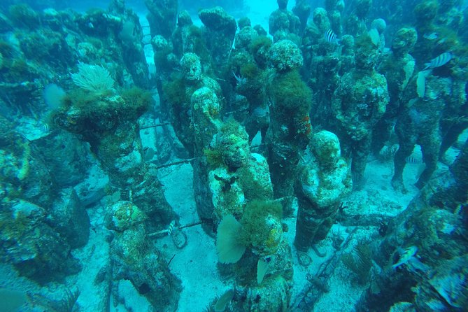 Isla Mujeres Snorkeling Tour Adventure - Stop 3: Manchones reef for bigger coral scenery
