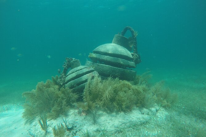 Jungle Tour & Snorkel at Punta Nizuc Reef , Underwater museum - Your 2-Hour Plan: Speedboat, Mangroves, Reef, and MUSA