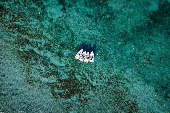 Jungle Tour & Snorkel at Punta Nizuc Reef , Underwater museum - Entering the Jungle by Speedboat: What the Ride Adds