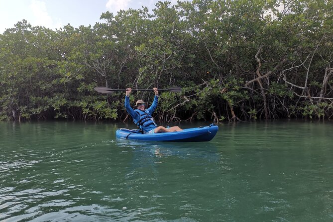 Kayak TOUR POR Laguna Nichupte Cancun - Stop one: Lagoon Nichupte paddling, mangroves, and wildlife spotting