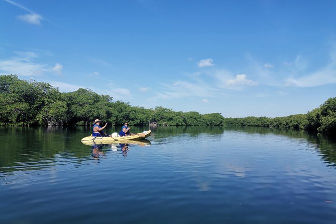 Kayak TOUR POR Laguna Nichupte Cancun - Photos, photos, photos: what to expect after the paddle