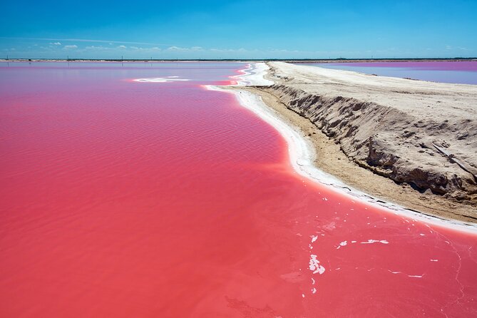 Las Coloradas Pink Lake & Rio Lagartos Guided Tour - Key Highlights You Can Actually Count On