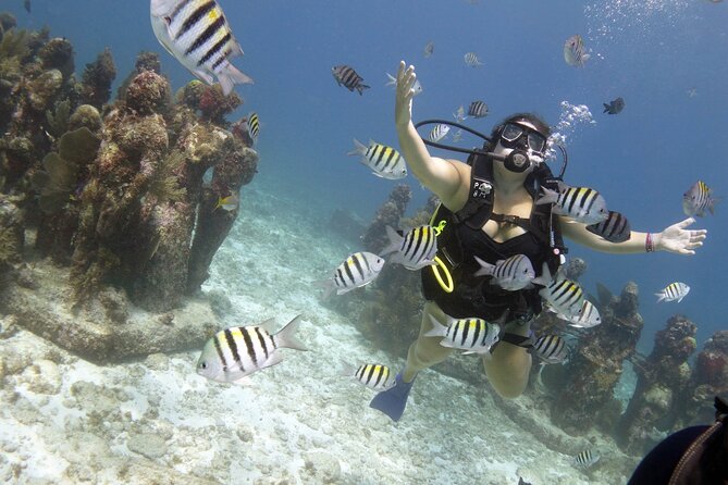 PADI Discover Scuba Diving for divers without certification - What the 10 m / 33 ft depth limit means for you