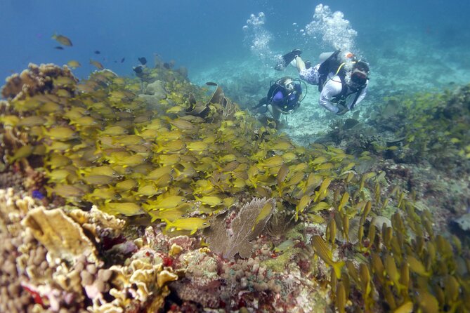 PADI Discover Scuba Diving for divers without certification - Why these two locations work well together