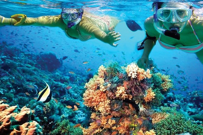 Plus Experience Isla Mujeres Tour - Arrecife de Coral: a short stop at a major reef barrier
