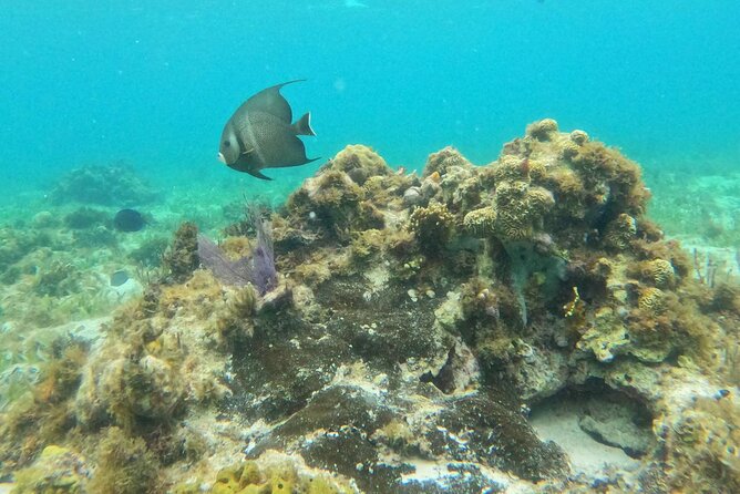 Premium Isla Mujeres Tour by Private Catamaran - What’s included (and what you’ll likely still pay for)