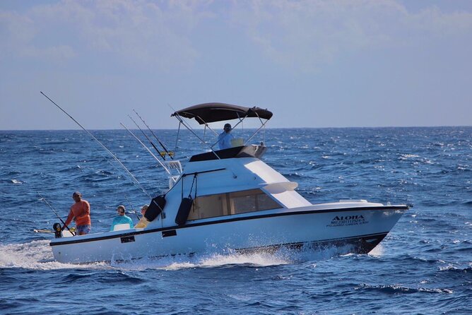 Private fishing charter Bertram 31ft 6 pax max if you don't fish you don't pay - What actually happens once you’re out: cruise, bait, trolling, bottom fishing