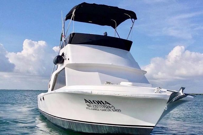 Private fishing charter Bertram 31ft 6 pax max if you don't fish you don't pay - Motion sickness: the one tip that can save your trip