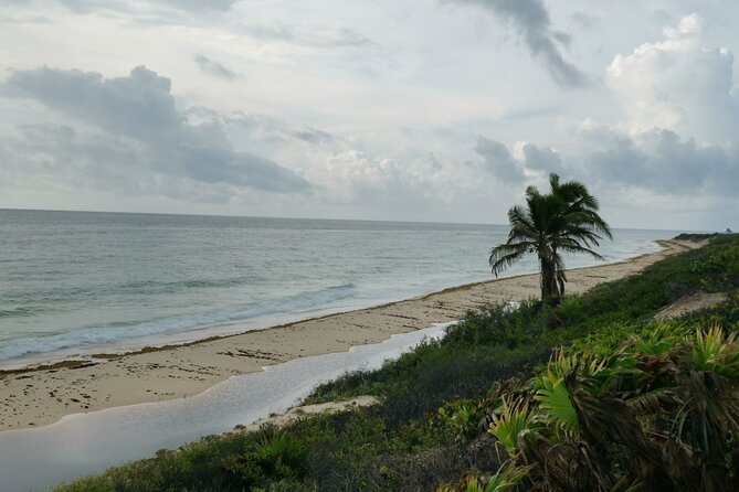 Private Transfer-Cancun Airport-Playa del Carmen One Way - If You Might Book the Return Later