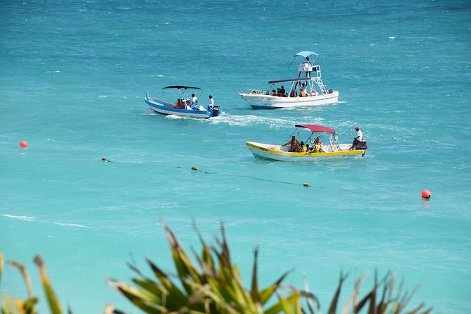 Private Tulum Ruins, Reef Snorkel & Cenote Adventure - Mayan Coral Reef snorkeling: gear included, turtles possible, and sunscreen rules matter