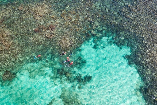 Puerto Morelos Catamaran Reef Sail and Snorkel - The 8:30am start at Marina La Bonita (and how pickup works)