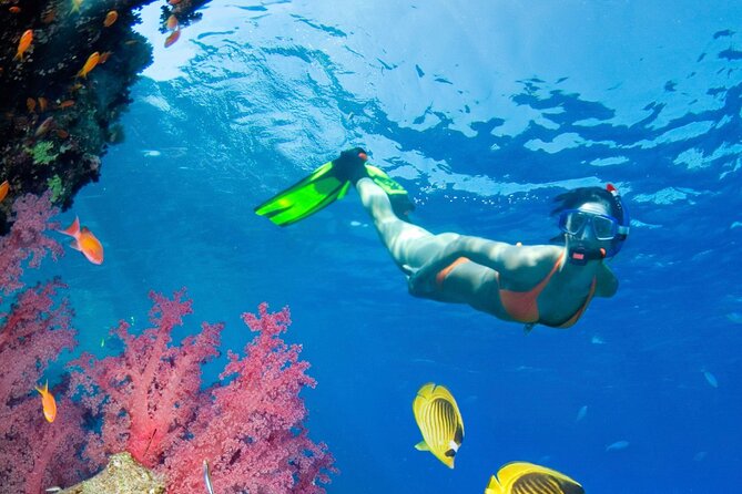 Puerto Morelos Catamaran Reef Sail and Snorkel - Your catamaran ride: small group comfort, real time on deck