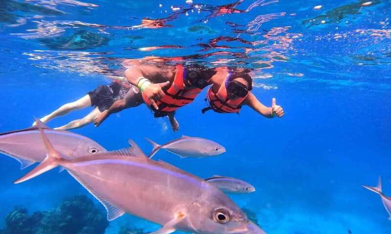 Puerto Morelos: Guided Snorkeling Tour with Gear & Fees - Key things that make this tour worth your time