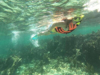 Puerto Morelos: Guided Snorkeling Tour with Gear & Fees - Meeting at Javier Rojo Gomez: the part that sets you up for success