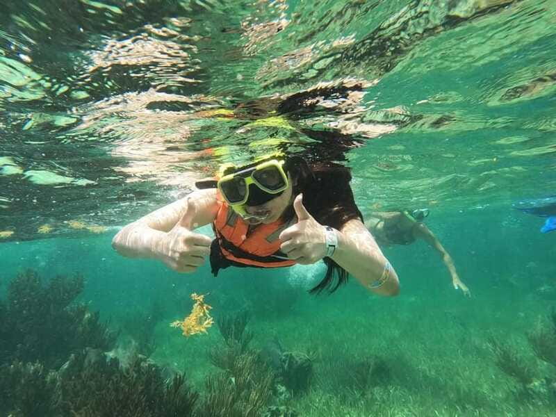 Puerto Morelos: Guided Snorkeling Tour with Gear & Fees - Snorkeling stop two: a different reef angle and more chances for bigger sightings
