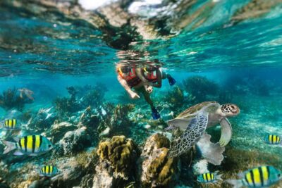 Puerto Morelos: National Reef Park Snorkeling & Beach Lunch - Price and Logistics: What $39 Really Buys You