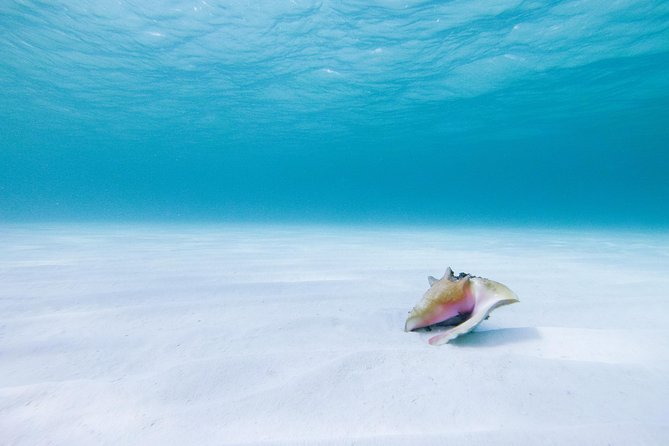 Puerto Morelos Secret Sandbar Catamaran Sail - Stop 1: Puerto Morelos National Park Waters