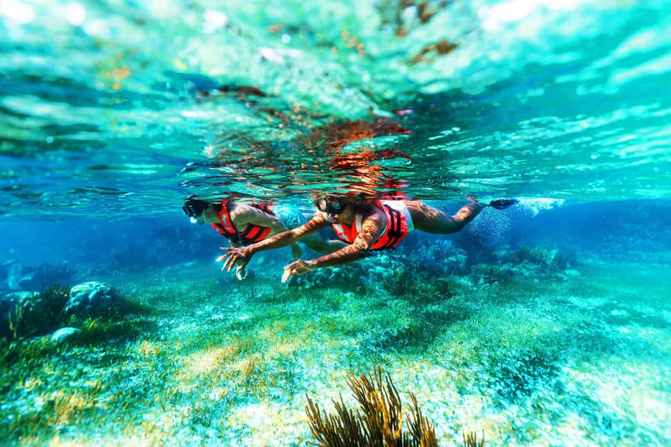 Puerto Morelos: Snorkel, Town Walk, Tequila & Beach Lunch - What to Pack (and What the Rules Say About Sunscreen and Cameras)