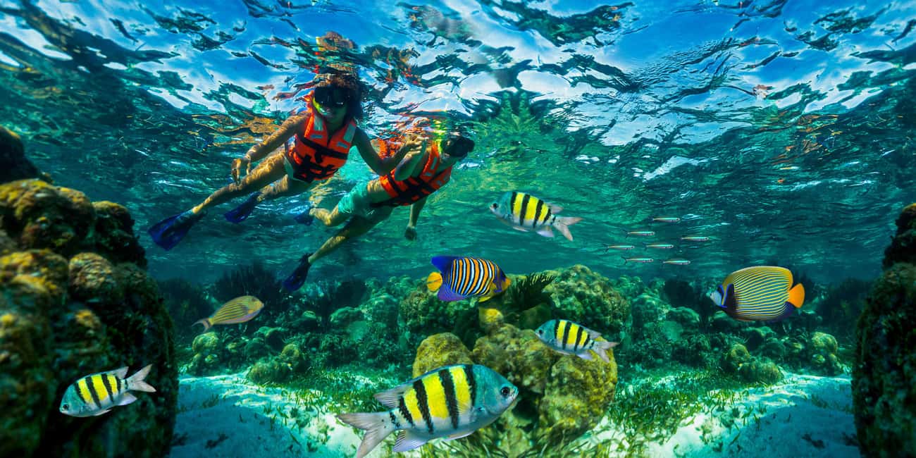 Puerto Morelos: Snorkel, Town Walk, Tequila & Beach Lunch - Puerto Morelos Reef Snorkeling: Why This 4-Hour Day Works
