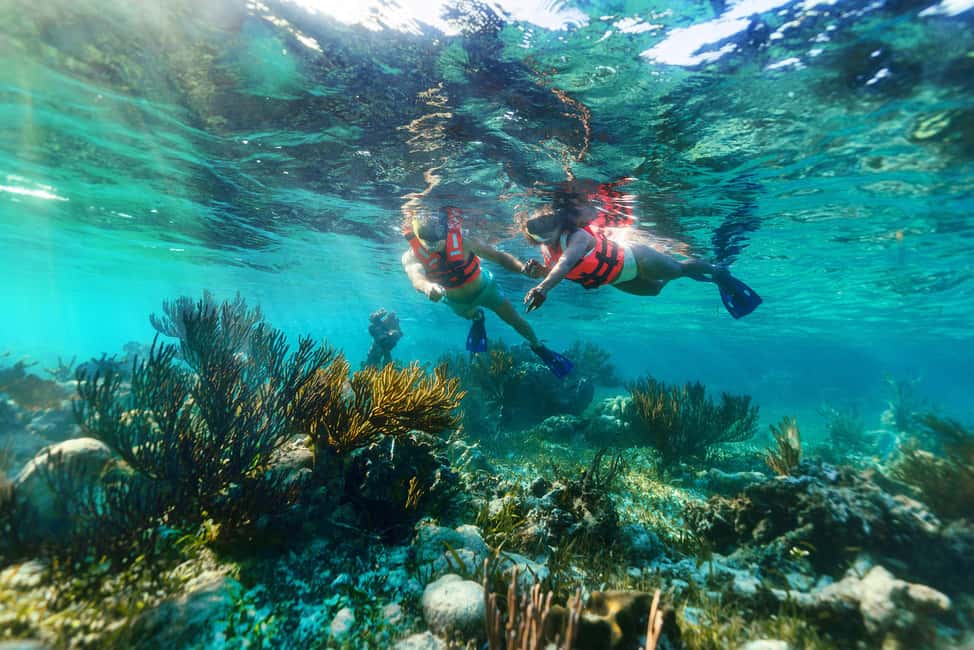 Puerto Morelos: Snorkel, Town Walk, Tequila & Beach Lunch - Entering the Water: 80 Minutes on the Great Mayan Reef