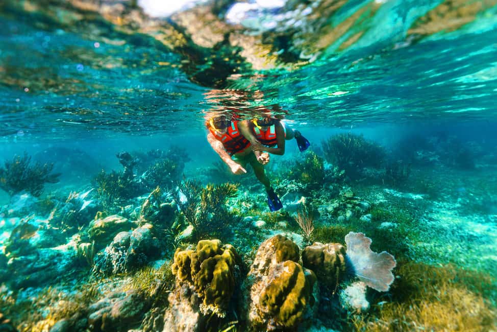 Puerto Morelos: Snorkel, Town Walk, Tequila & Beach Lunch - Tequila Tasting and Town Walk: Puerto Morelos on Foot