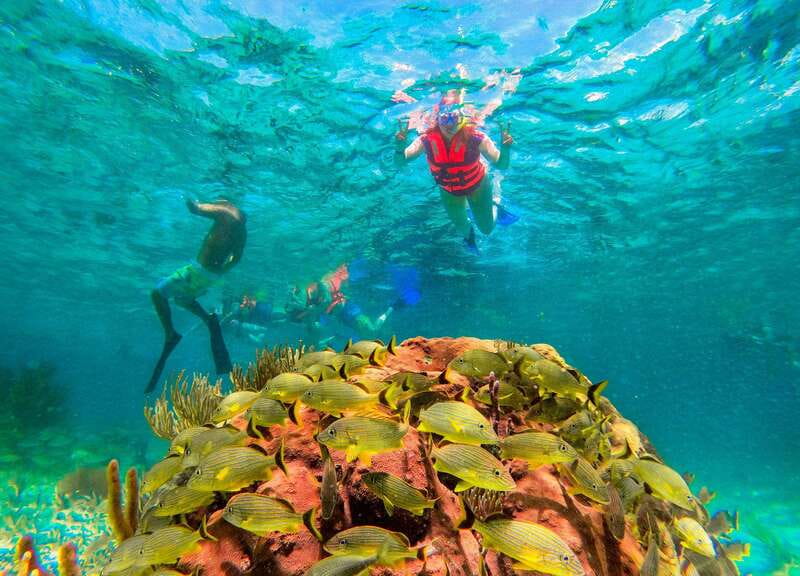 Puerto Morelos: Snorkel, Town Walk, Tequila & Beach Lunch - Price and Extras: How $39 Adds Up on the Day