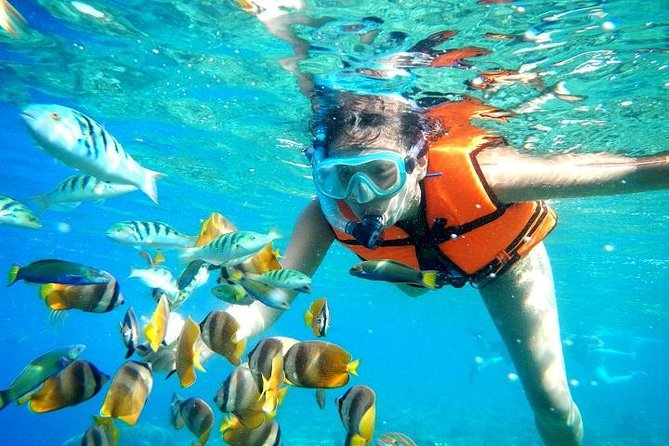 Reef Snorkeling in National Park from Cancun with Beachside Lunch - What You’ll See (And Why Some Days Feel Different)