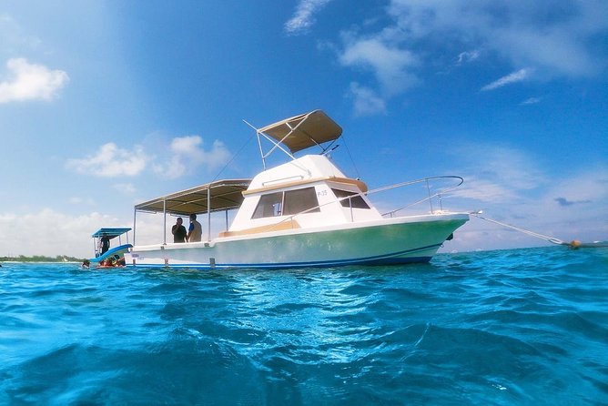 Reef Snorkeling in National Park from Cancun with Beachside Lunch - Gear, Cameras, and Reef Protection: Small Limits With Big Purpose