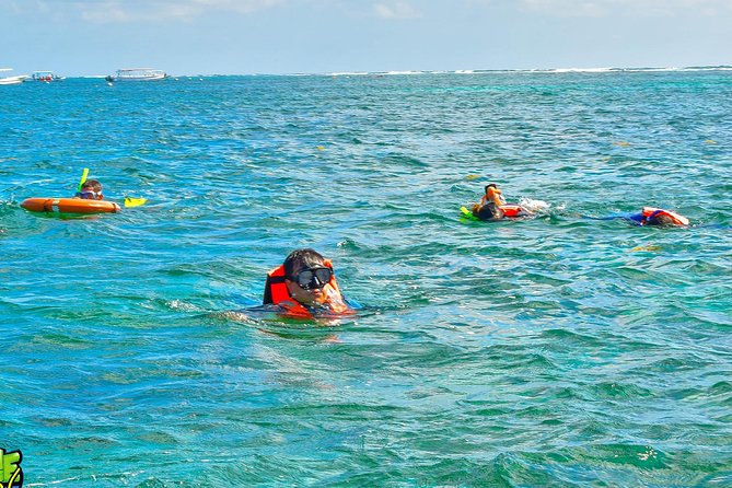 Reef Snorkeling in National Park from Cancun with Beachside Lunch - Tequila Tasting and Photo Selling: Plan for the Sales Energy