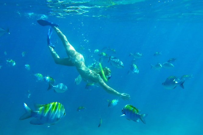Riviera Maya Luxury Snorkeling Cruise with Lunch and Drinks - Weather Matters: How Choppy Water Changes Your Snorkel Day