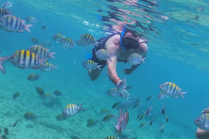 Riviera Maya Luxury Snorkeling Cruise with Lunch and Drinks - Who This Tour Fits Best (And Who Should Skip It)