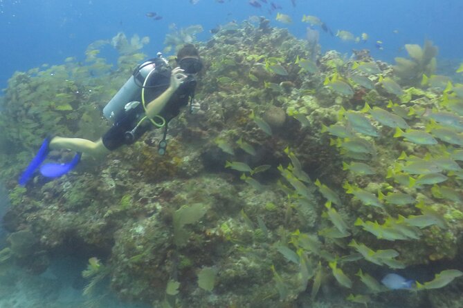 Scuba Diving (1st time) in Cancun Beginner's WELCOMED! - Safety, Ear Pressure, and Comfort: How You Stay Calm Under Guidance
