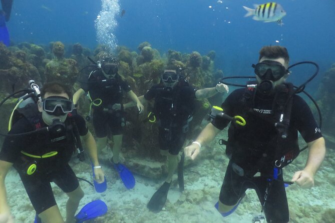 Scuba Diving (1st time) in Cancun Beginner's WELCOMED! - Who This Is Best For (and When to Consider a Different Option)