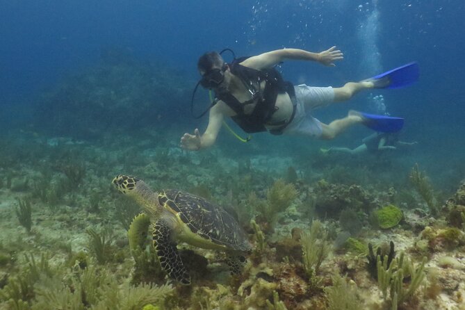 Scuba Diving (1st time) in Cancun Beginner's WELCOMED! - FAQ